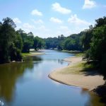 the Resaca de la Palma State Park