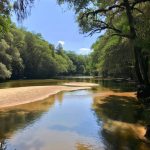 the Resaca de la Palma State Park